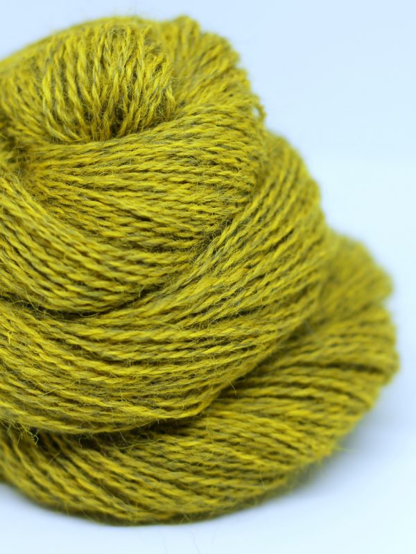 Appledore DK (8ply) 100g skein 250 meters